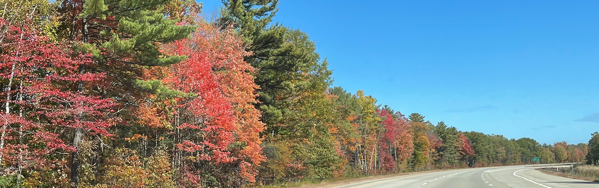 $3 Next Day Delivery